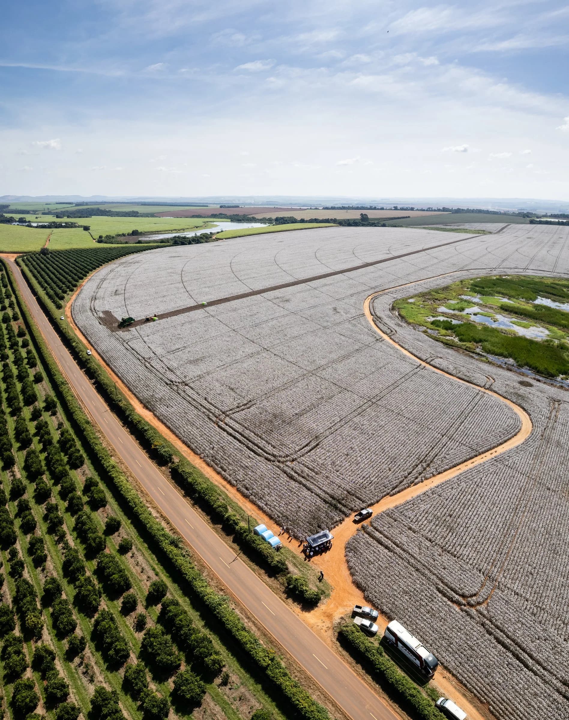 Panorâmica aérea do mesmo algodoal, com o céu ocupando a metade de cima