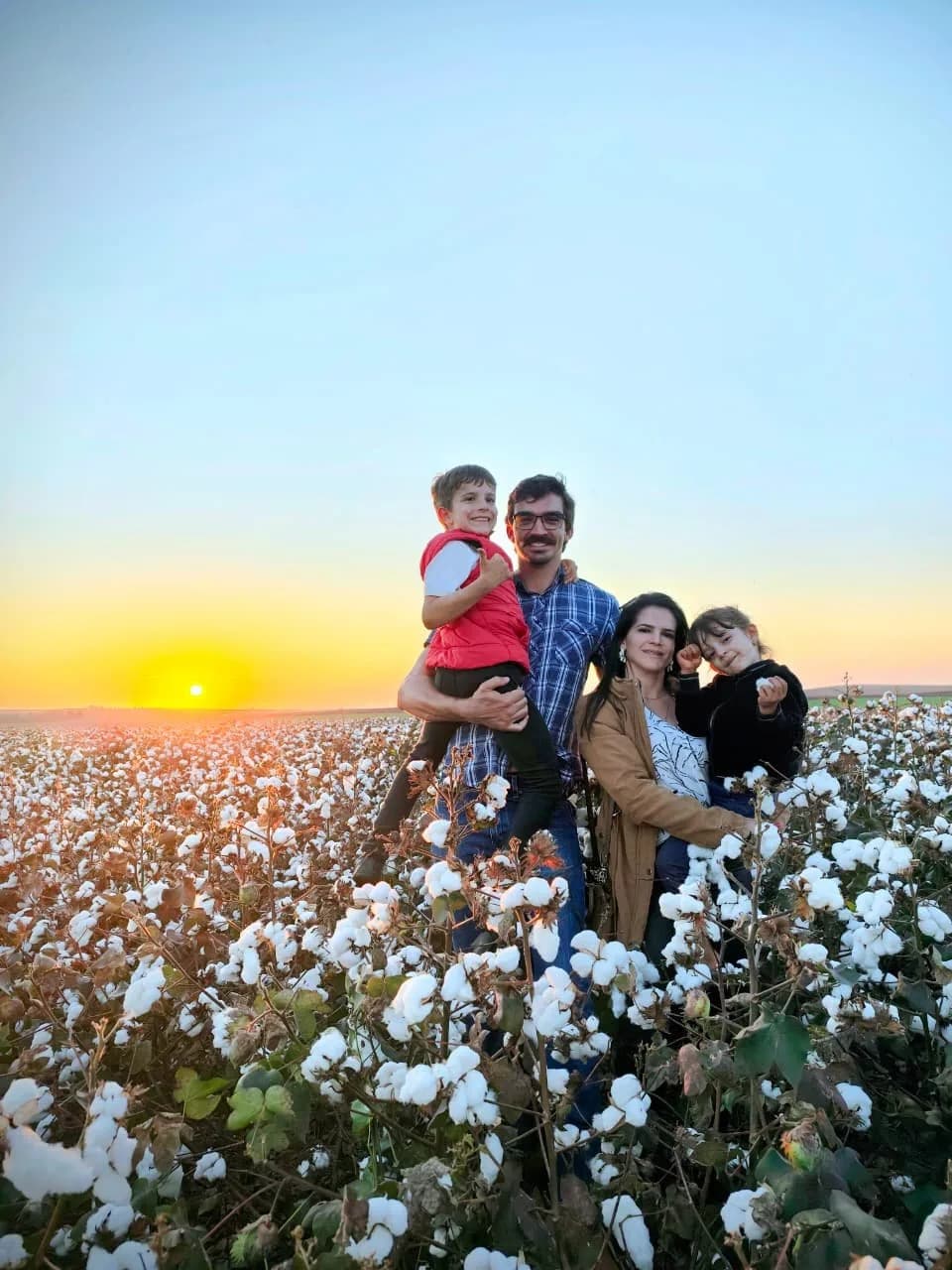 Família reunida em um algodoal ao pôr do sol