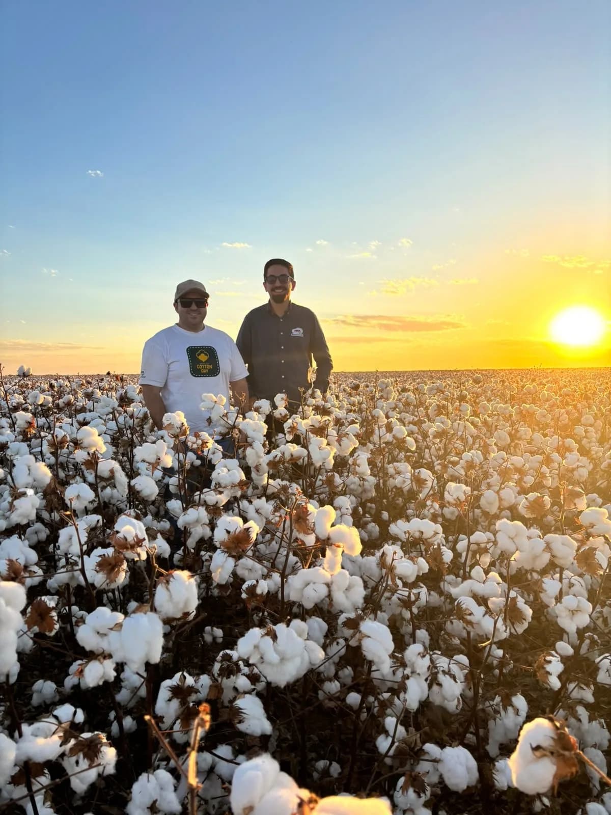 Dois participantes em pé no algodoal, ao pôr do sol