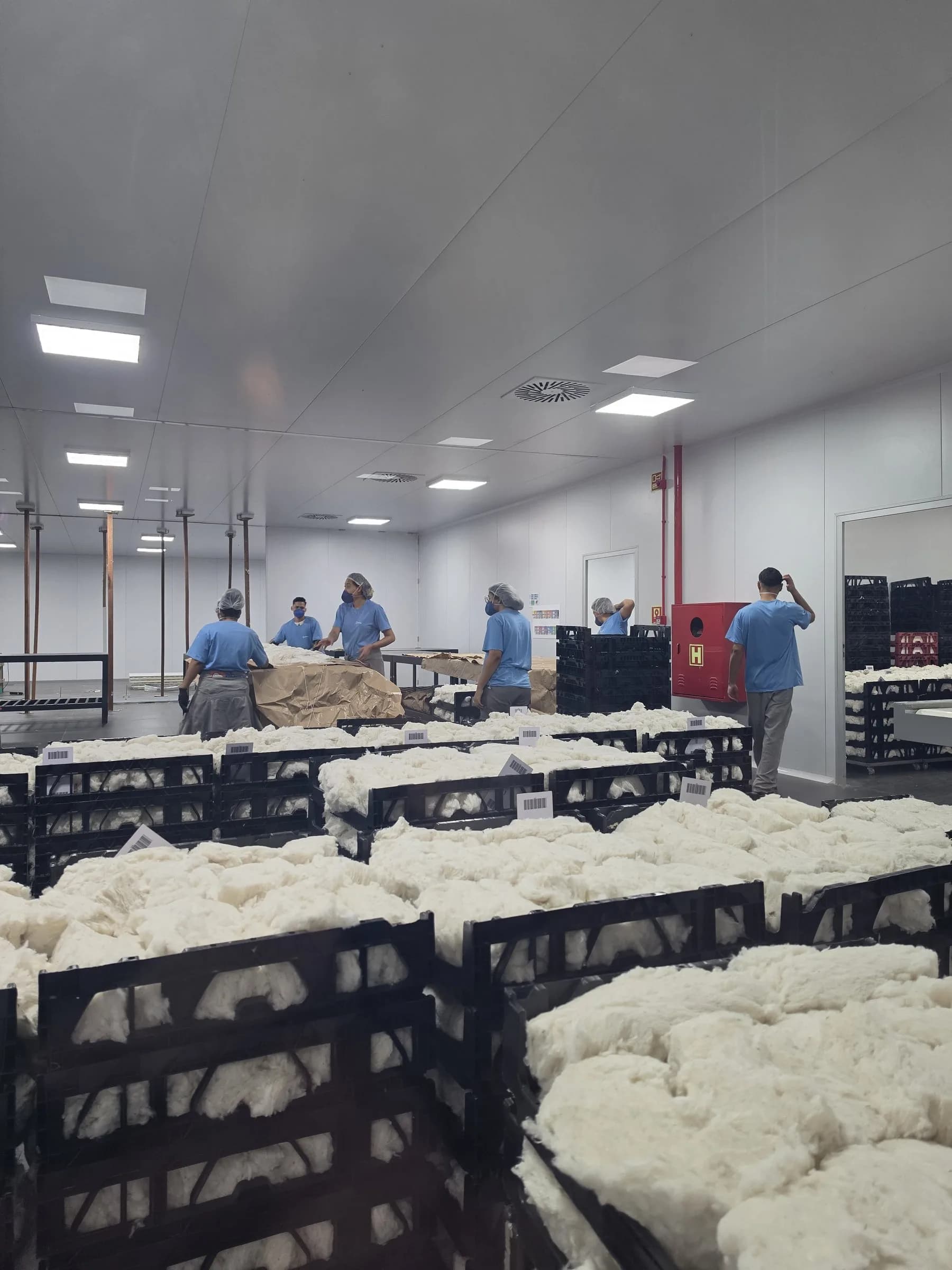 Sala de classificação com caixas de fibra de algodão aguardando análise